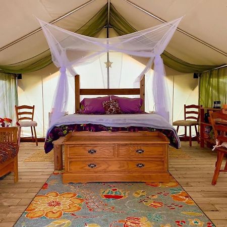 So Damn Lucky Glamping Hotel Ucluelet Exterior foto