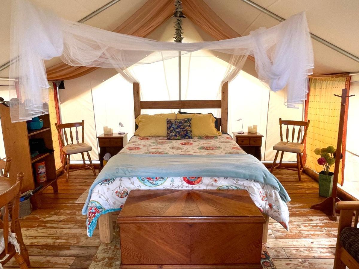So Damn Lucky Glamping Hotel Ucluelet Exterior foto