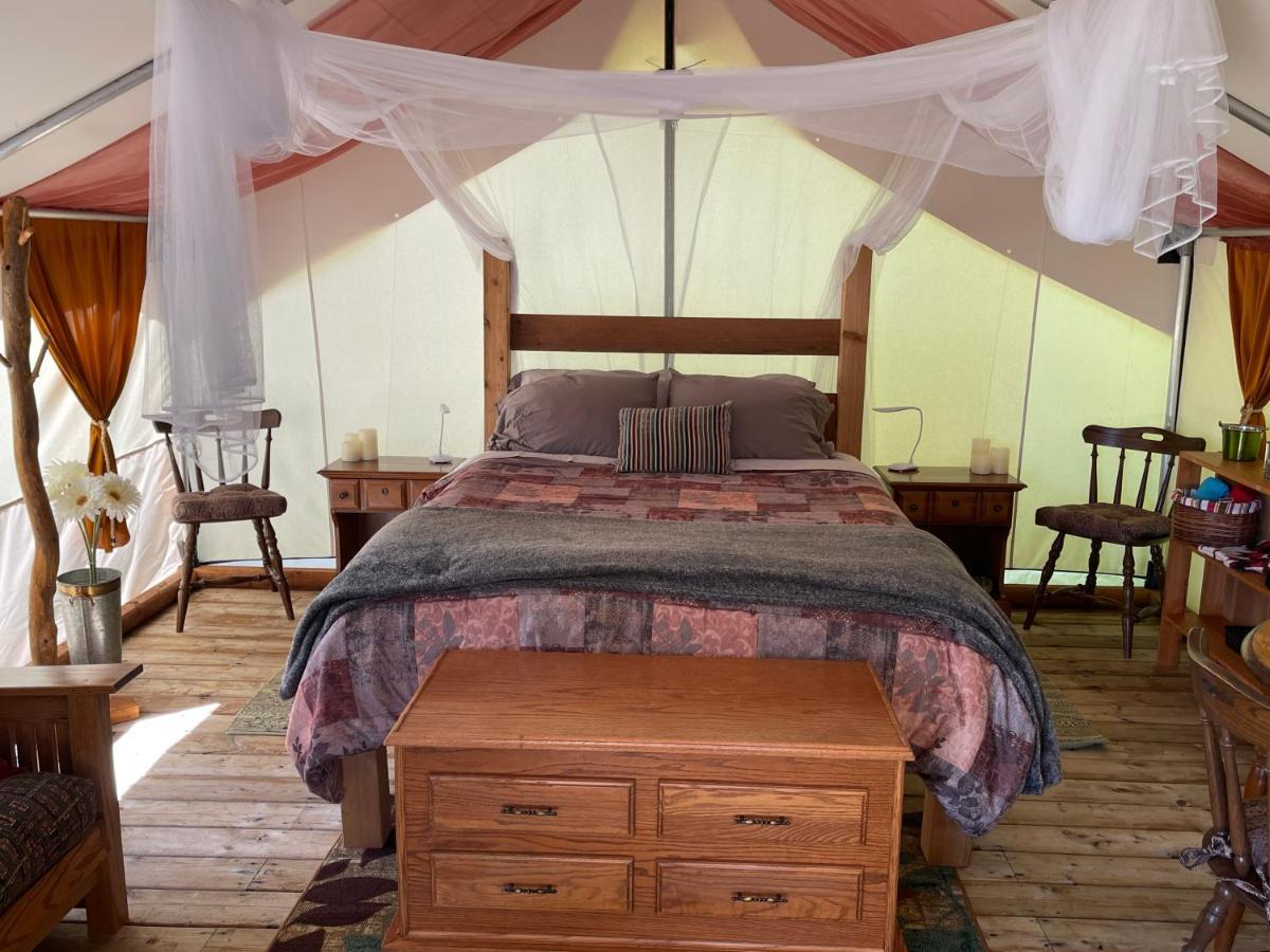So Damn Lucky Glamping Hotel Ucluelet Exterior foto