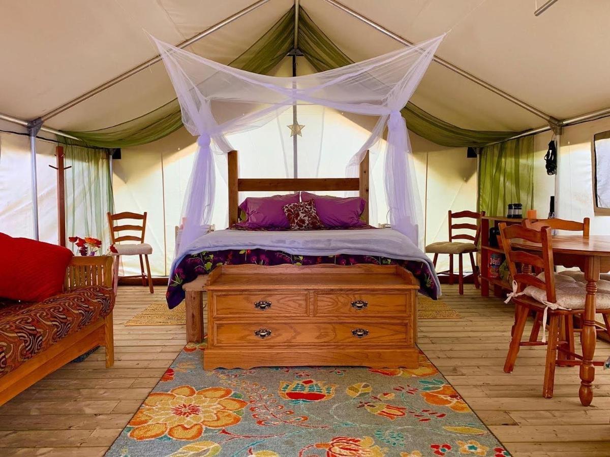So Damn Lucky Glamping Hotel Ucluelet Exterior foto