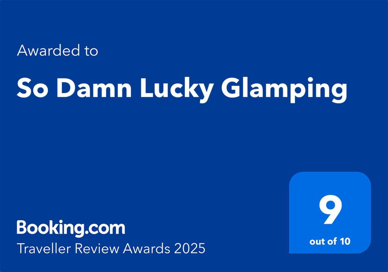 So Damn Lucky Glamping Hotel Ucluelet Exterior foto